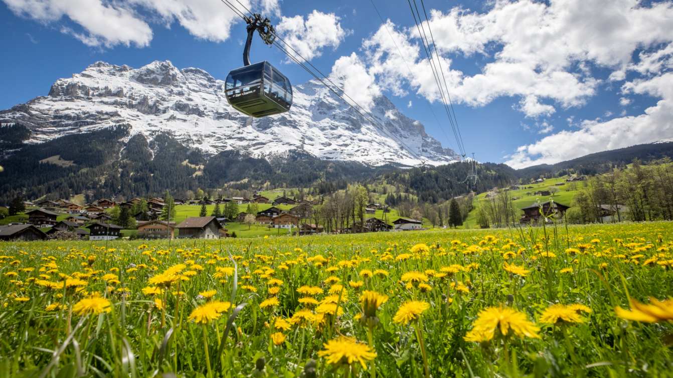 Eiger Express Sommer Eiger Nordwand