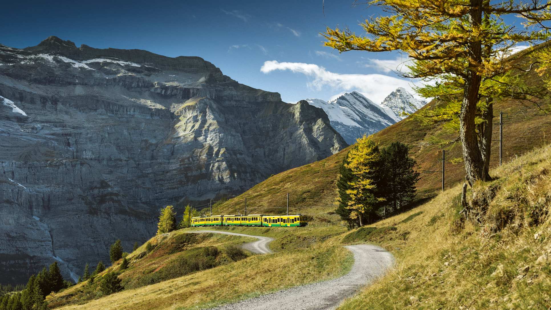 Wengernalpbahn herbst