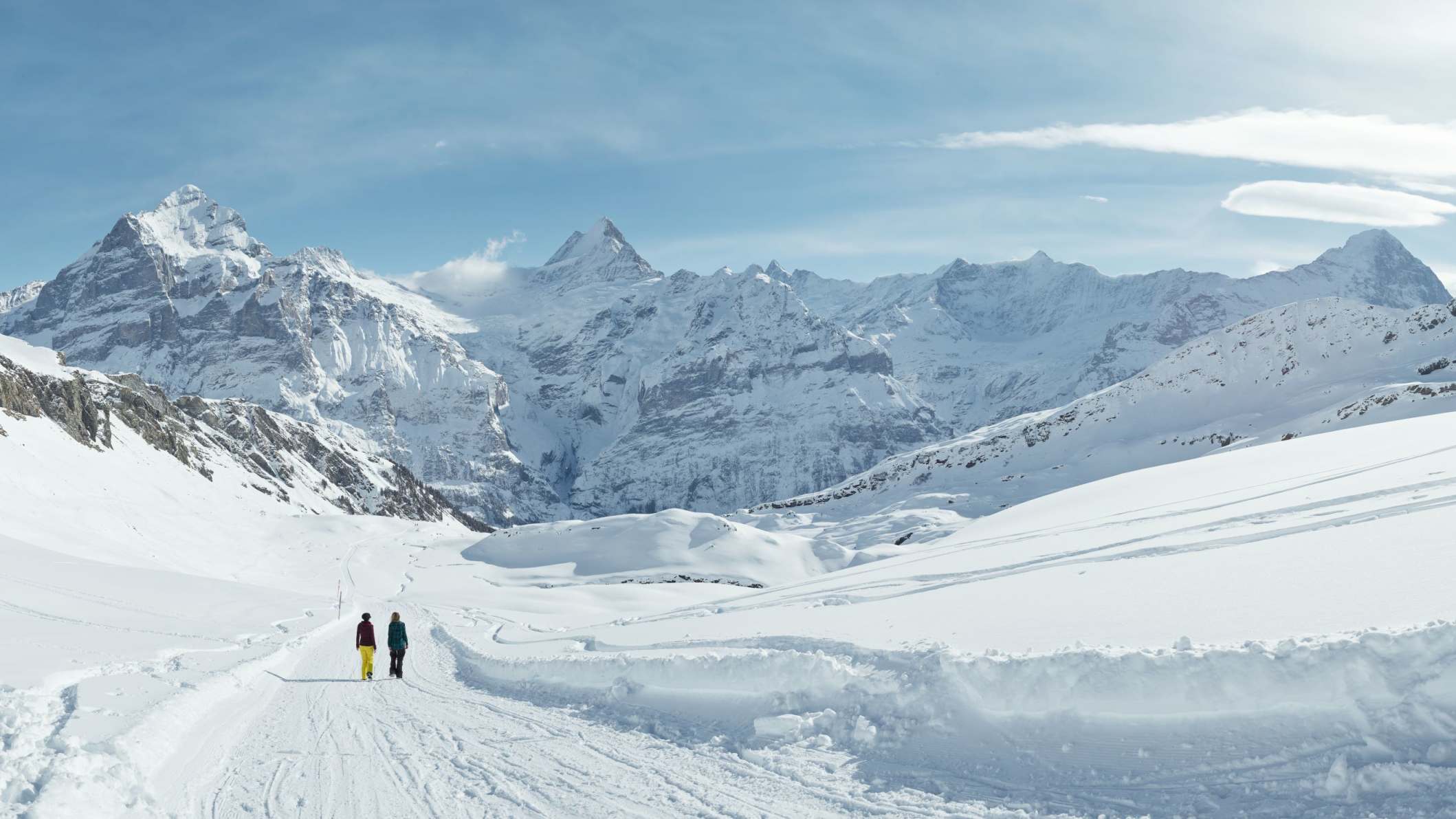 Winterwandern Wetterhorn Schreckhorn Eiger Panorama