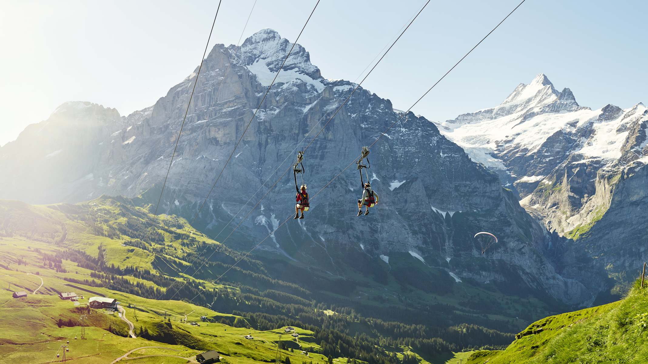 Grindelwald First Flieger Sommer Wetterhorn Schreckhorn Alpen