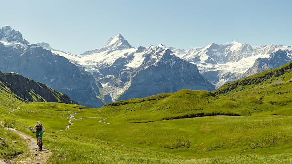 Biken Adventure Wetterhorn Schreckhorn Panorama Sommer