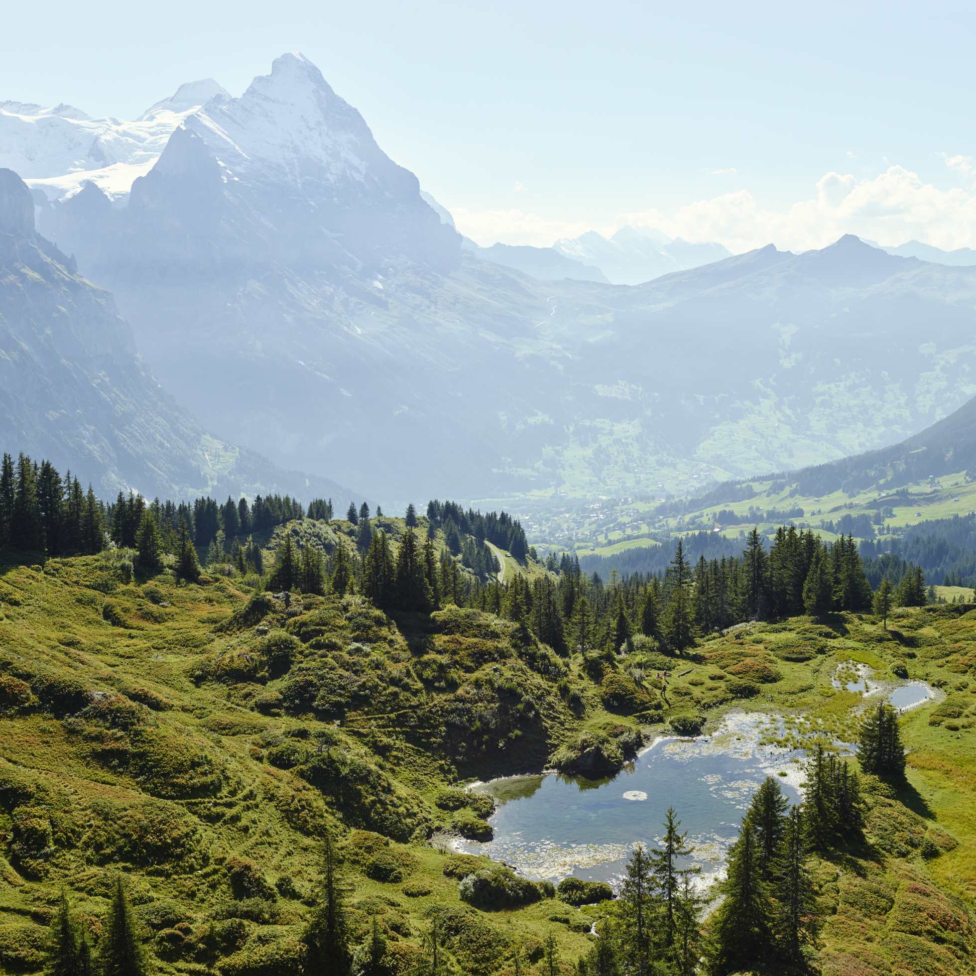 Antseeuwen Chlosterseeli Panorama Berner Oberland Sommer