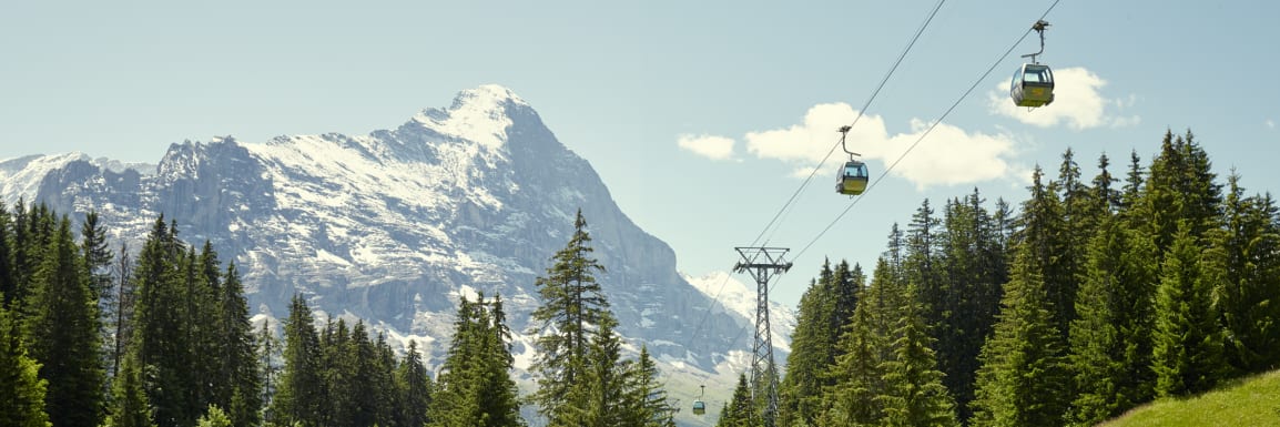 Firstbahn grindelwald eiger sommer