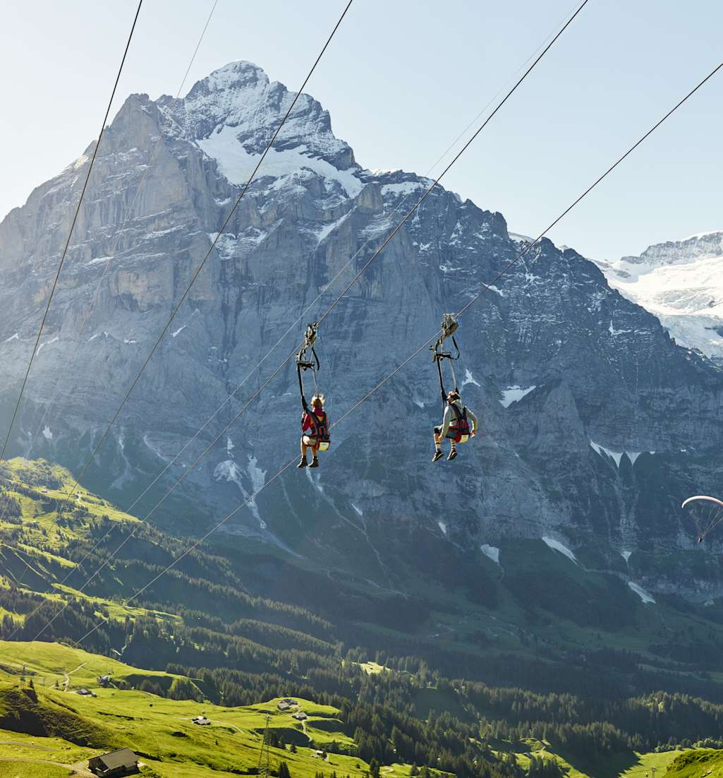 Grindelwald First Flieger Sommer Wetterhorn Schreckhorn Alpen