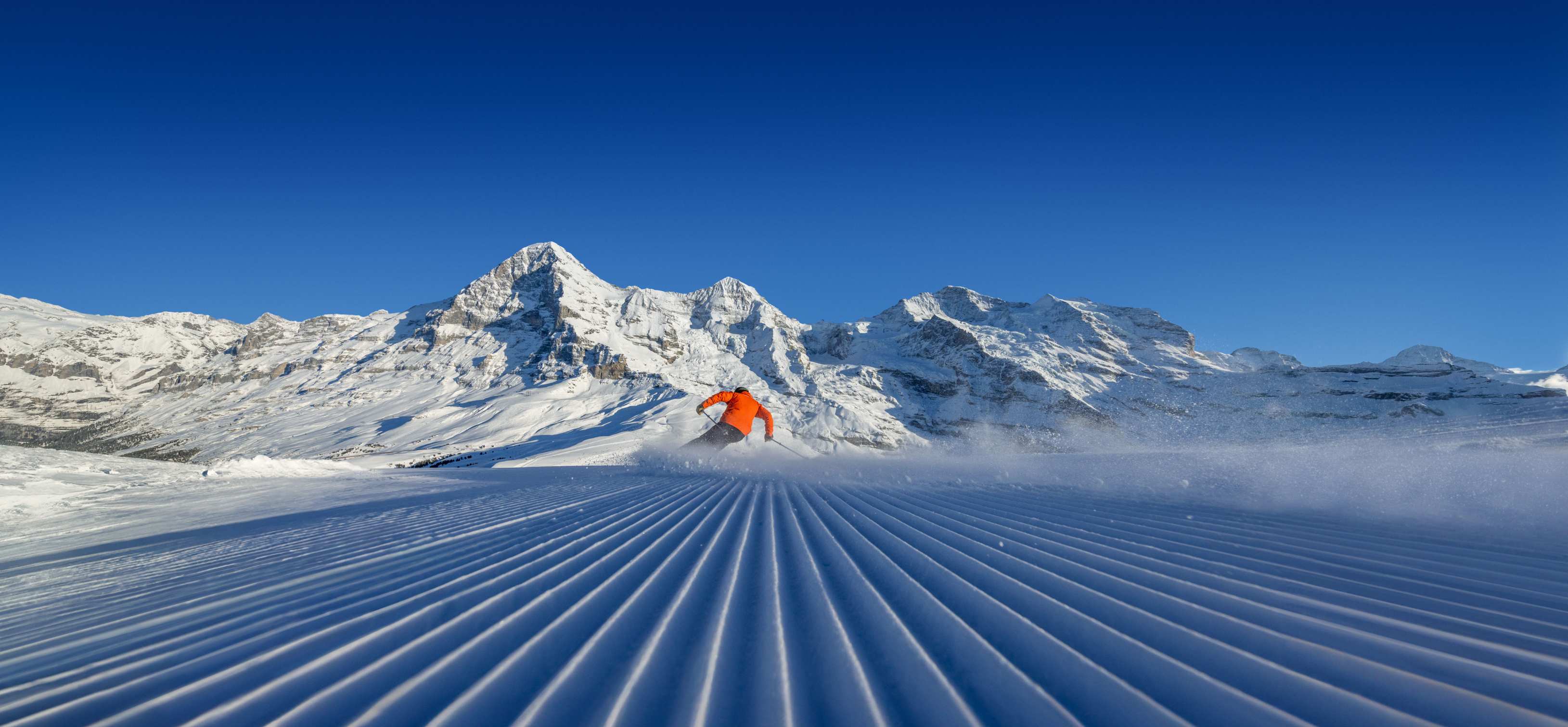 [Translate to English:] 