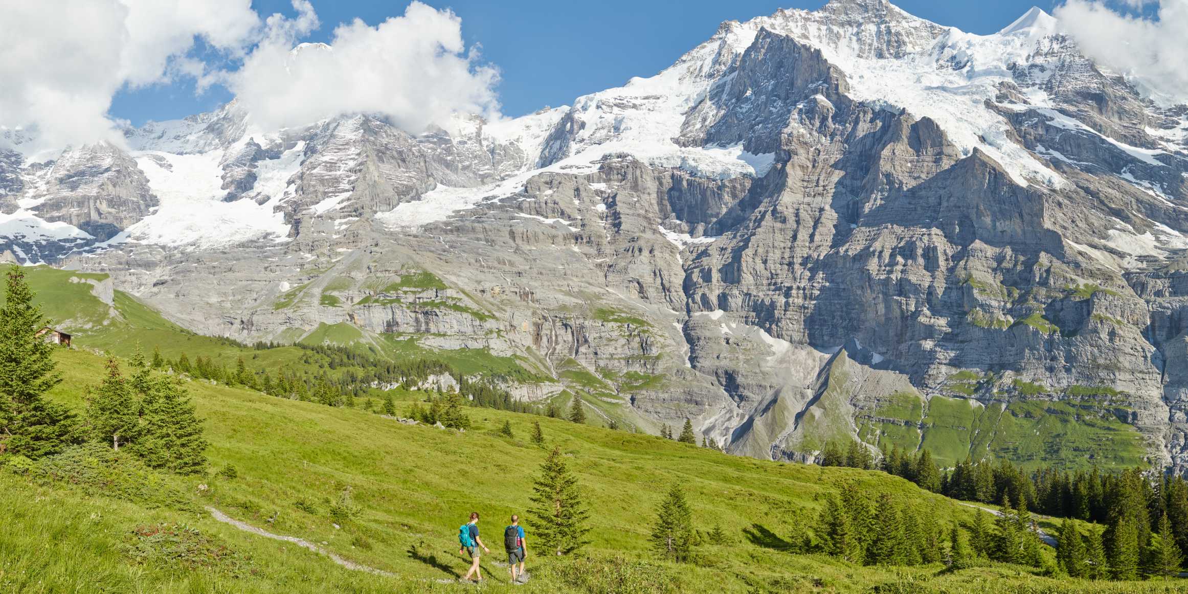 Kleine Scheidegg Wandern Lauberhorn Trail Panorama Sommer