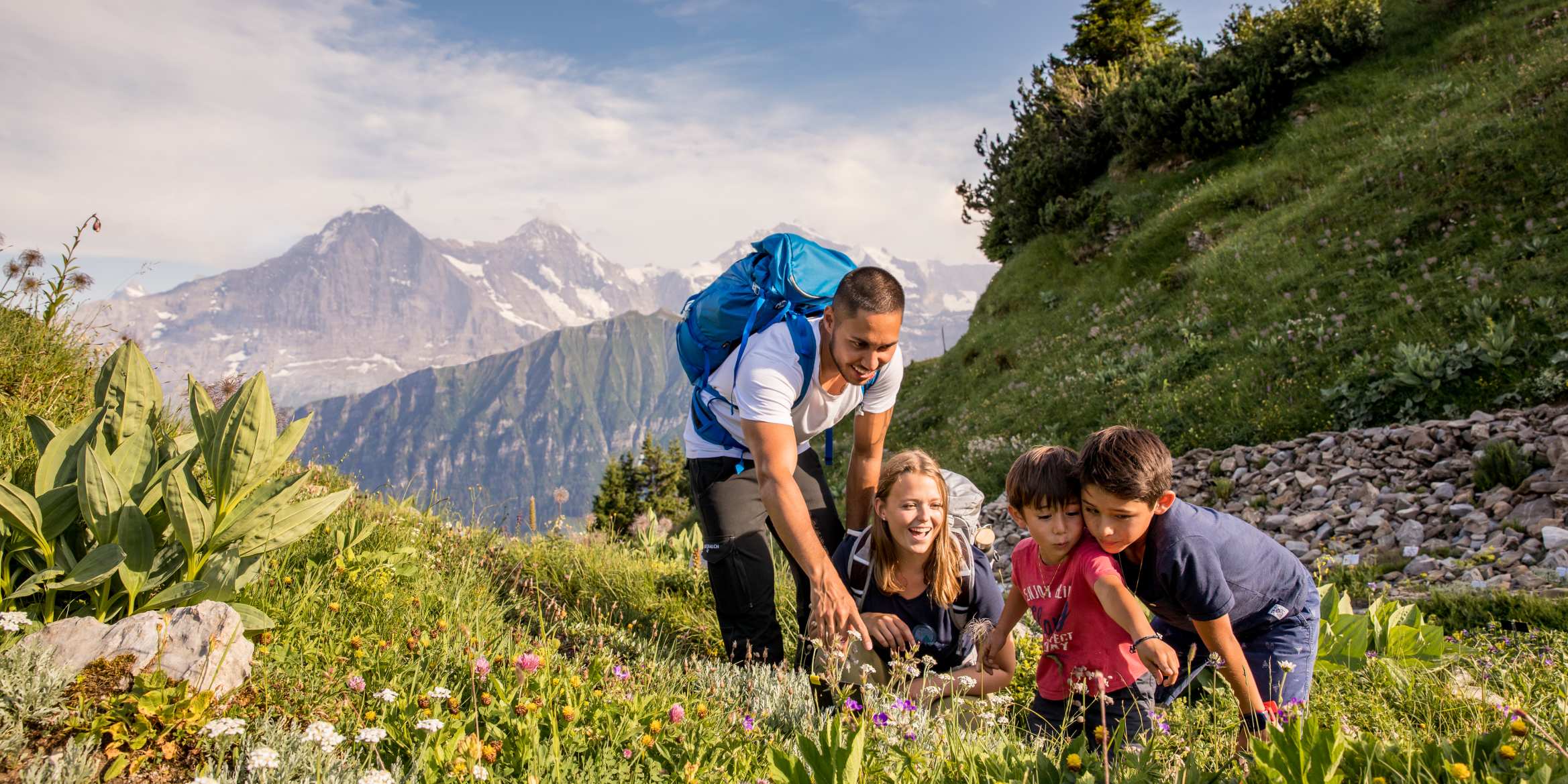 Publikationen, Schynige-Platte, Screen-Content, jungfrau.ch