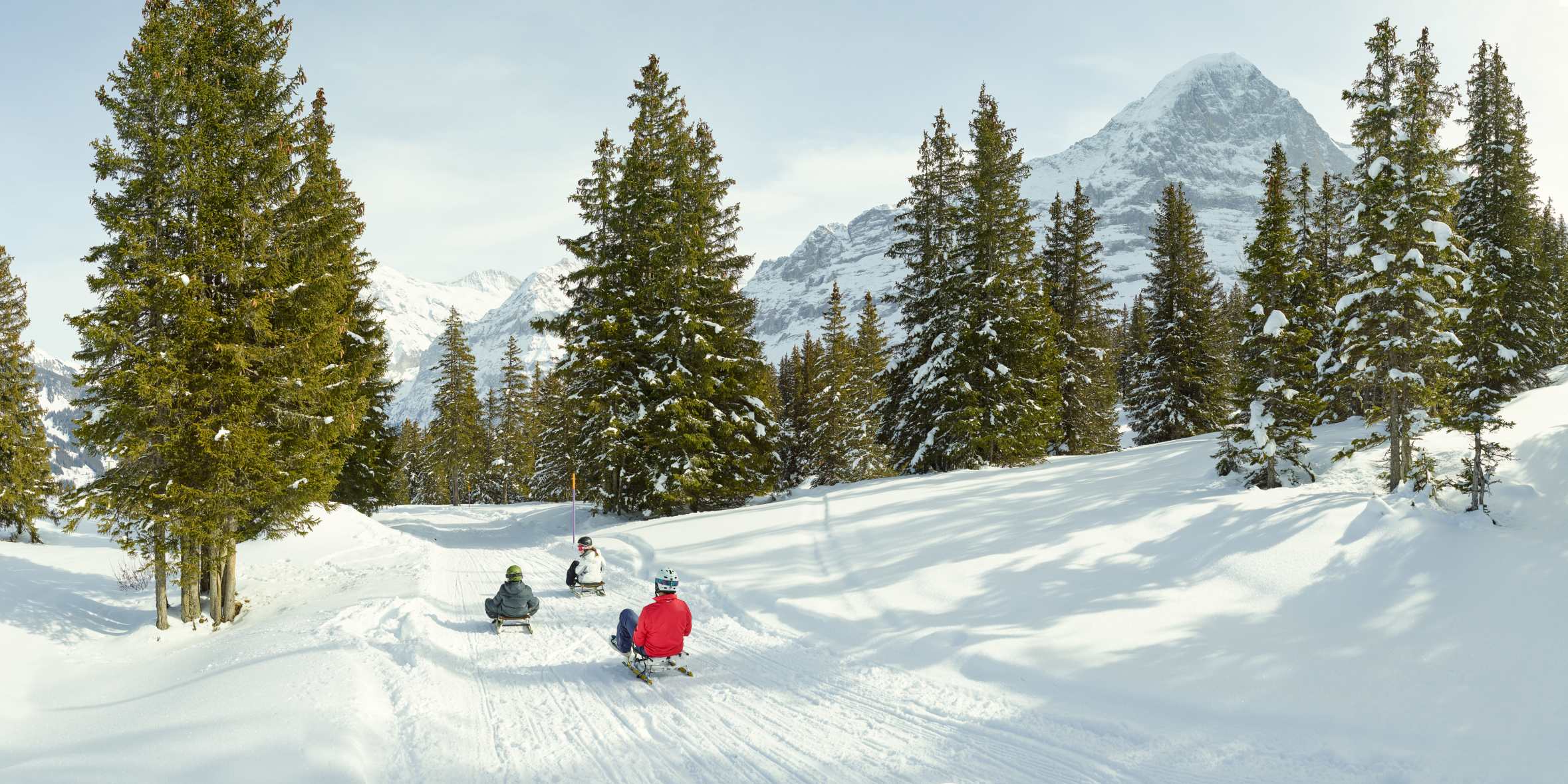 Schlitteln Ritas Speedway Maennlichen Grindelwald Eiger