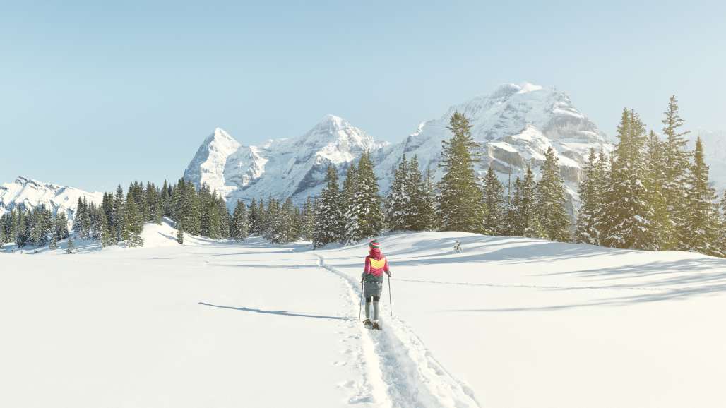 Schneeschuhpfad Muerren Panorama Eiger Moench Jungfrau