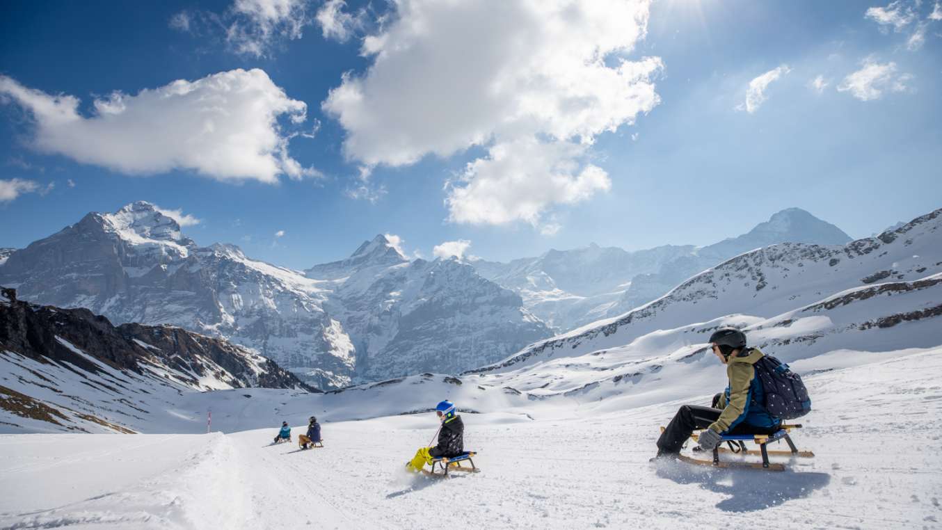 Grindelwald First Schlitteln