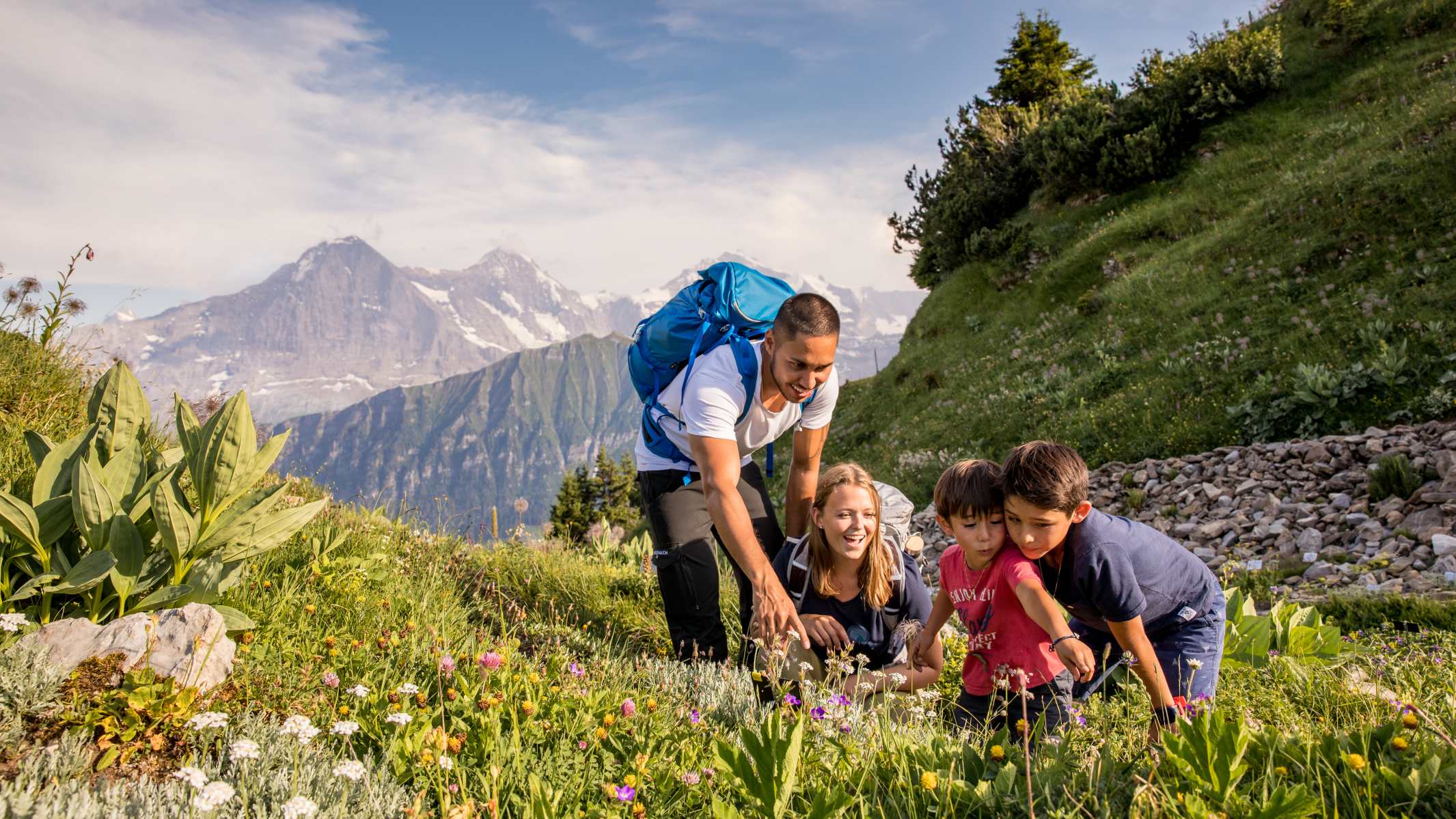 Publikationen, Schynige-Platte, Screen-Content, jungfrau.ch