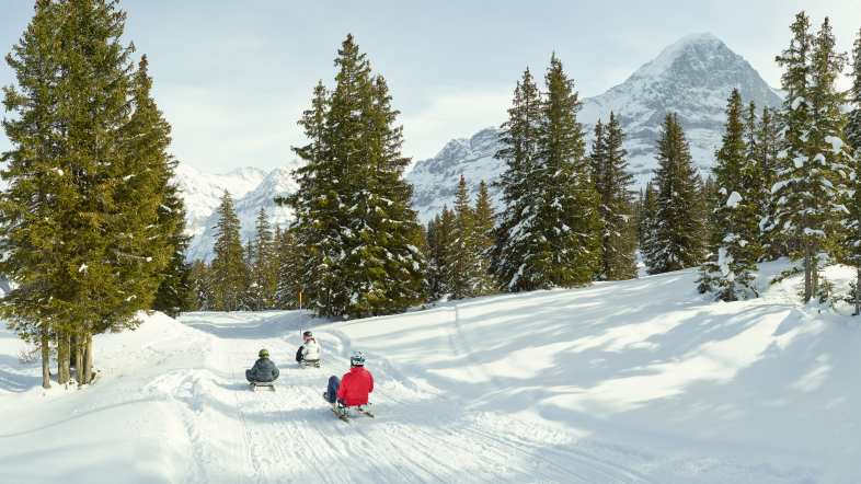 Schlitteln Ritas Speedway Maennlichen Grindelwald Eiger