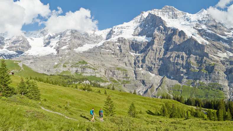 Kleine Scheidegg Wandern Lauberhorn Trail Panorama Sommer