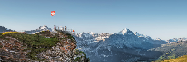 nbajhhapy3jjmqsbz8z2