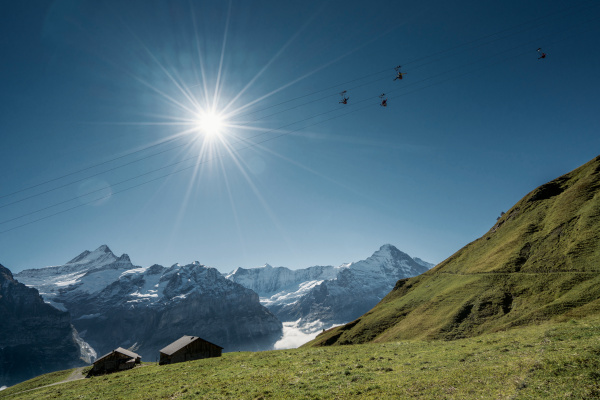 ovcmwvlvs7wbk1ggk15p