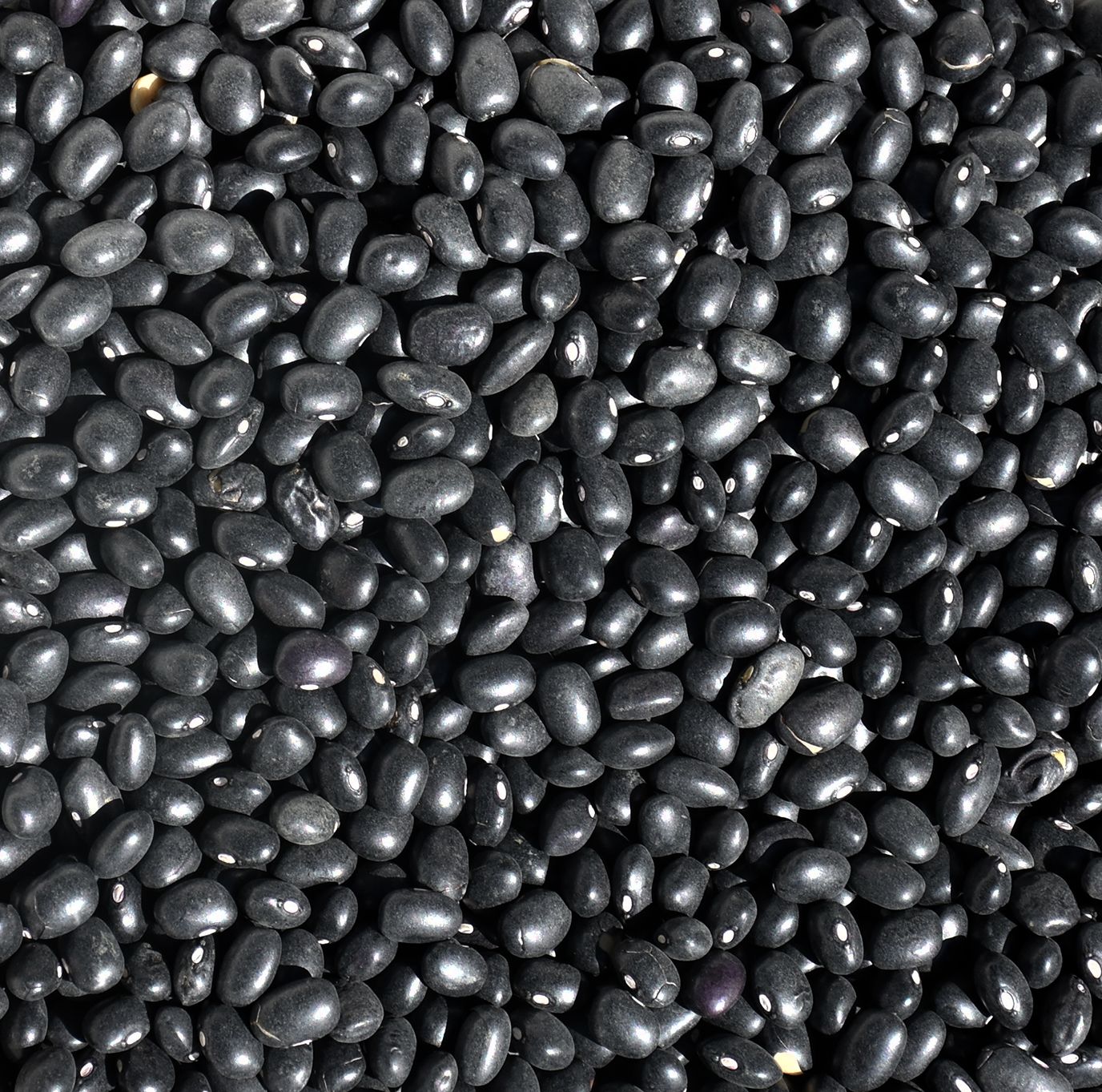 Black beans