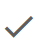 Check icon