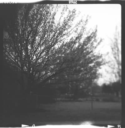 Photography portfolio image