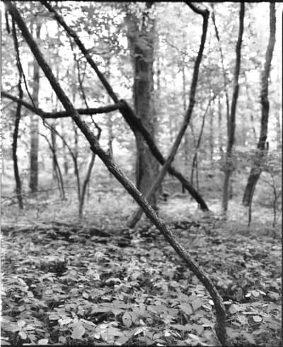 Photography portfolio image