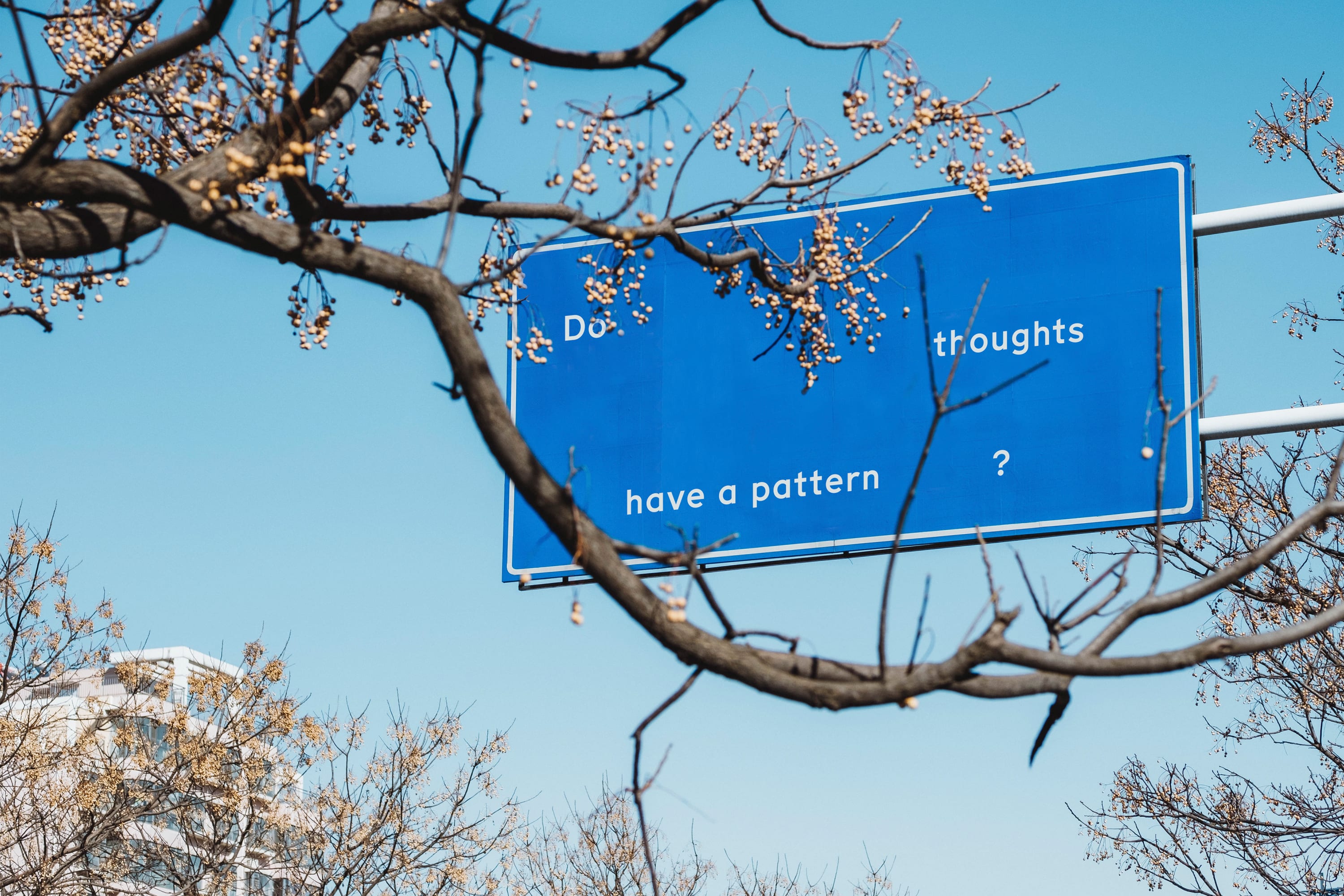 Auf einem großen, blauen Straßenschild steht die Frage „Do thoughts have a pattern?“. Es ist leicht verdeckt von einem kahlen Baum.