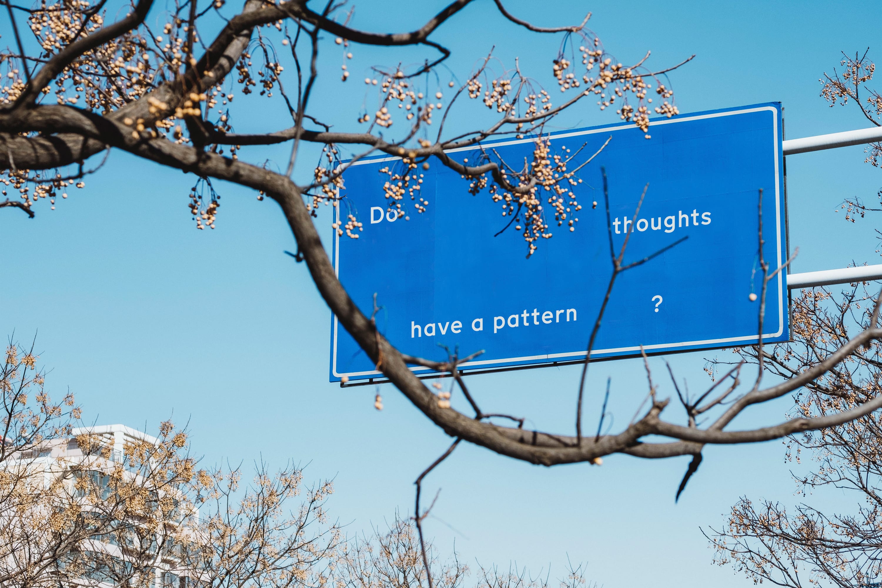 On a large blue street sign is the question 