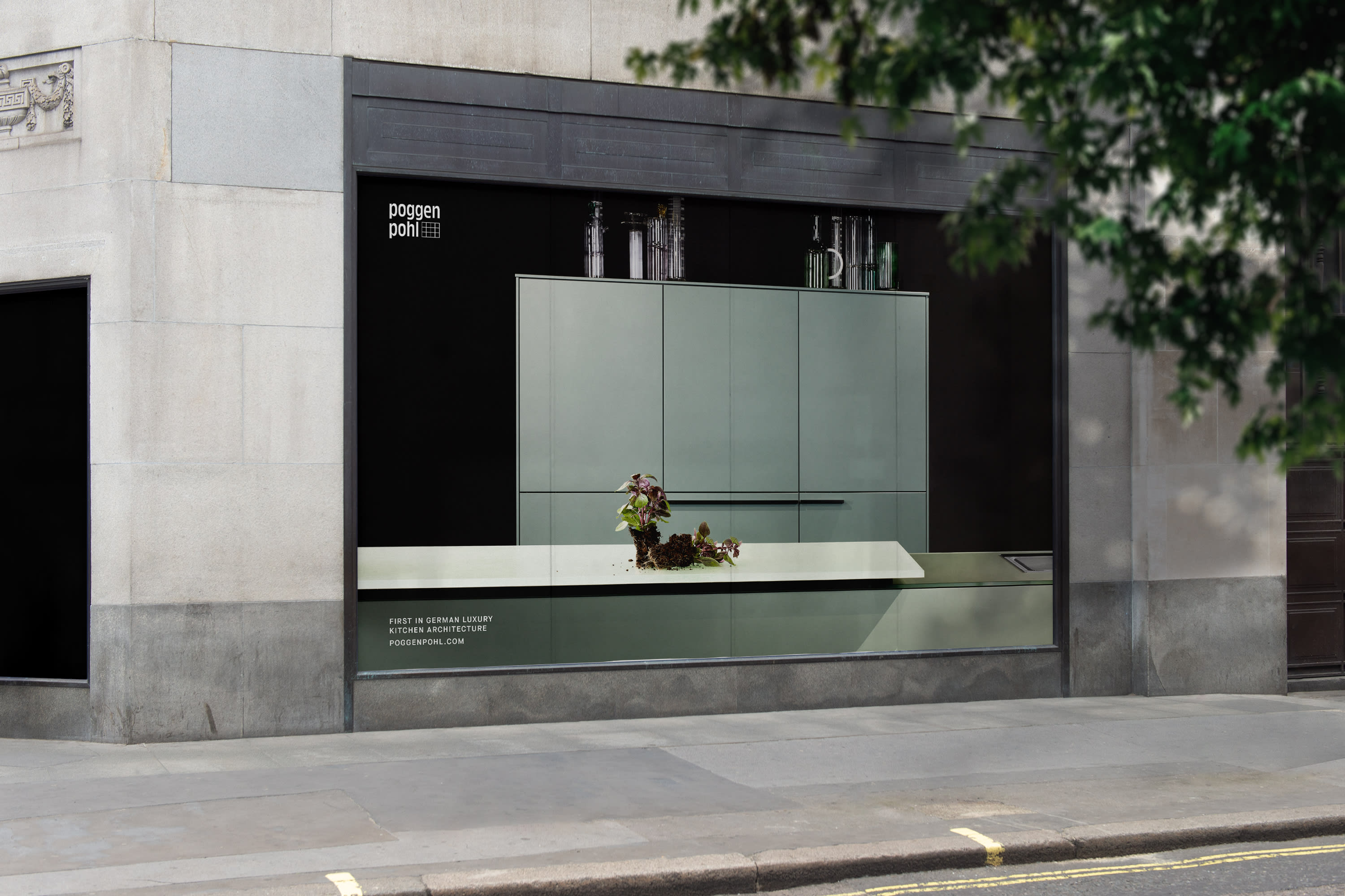 Urban storefront with a green tree