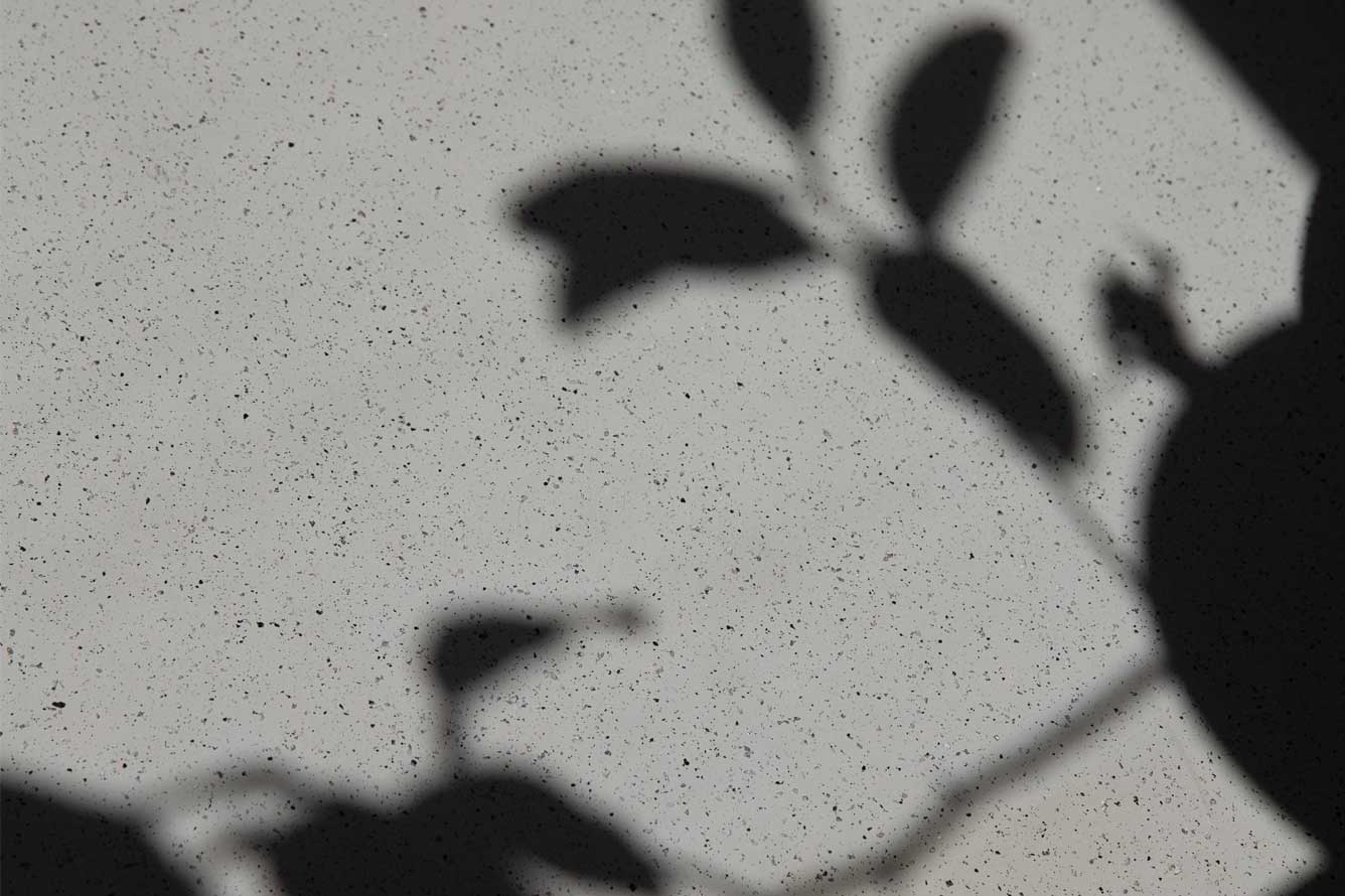 Plant shade on ubilabs office floor