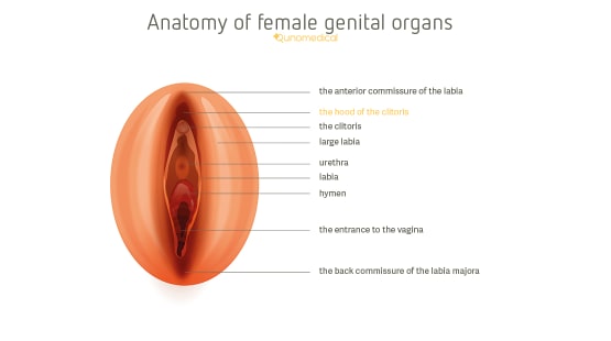 remarkable, useful blowjob cum in mouth latina all clear, many thanks