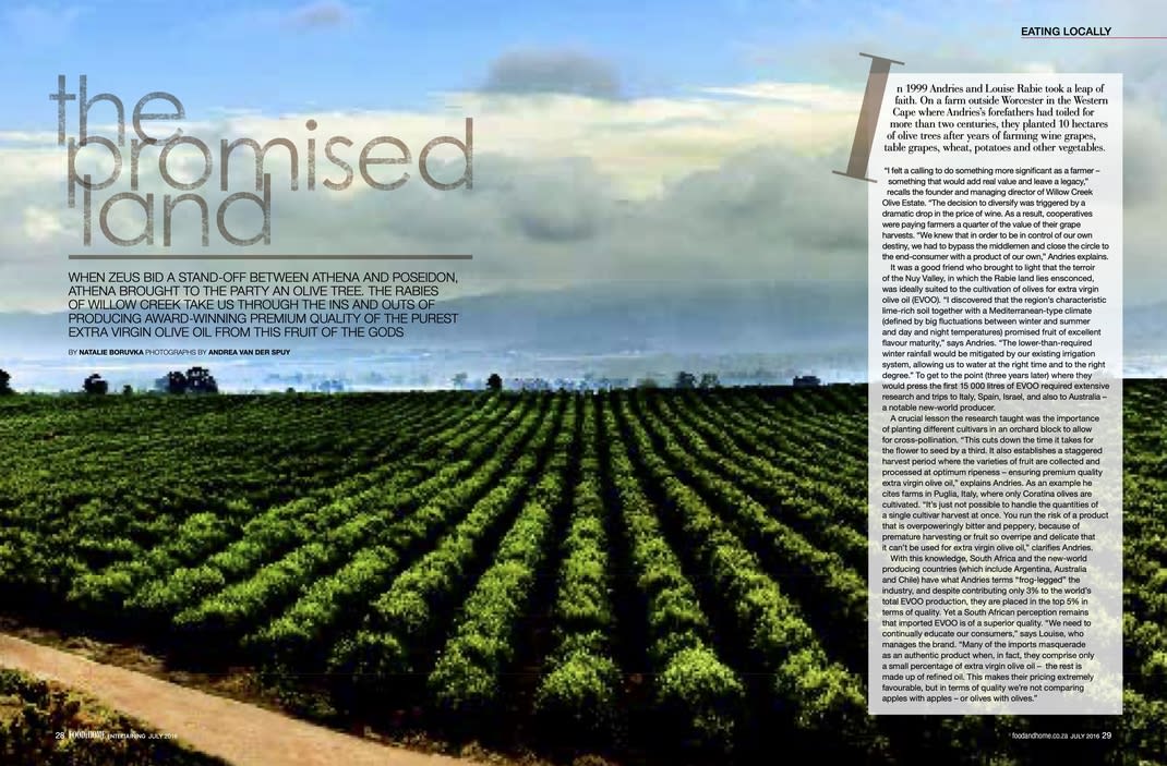 Photo showing the article The Promised Land