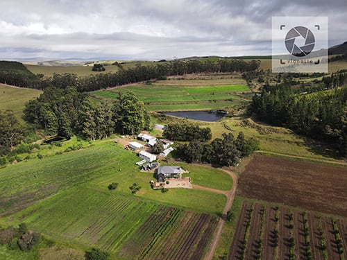 Image of Fazenda