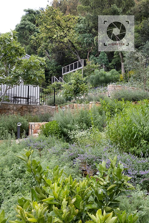 Image of Rhodes Drive