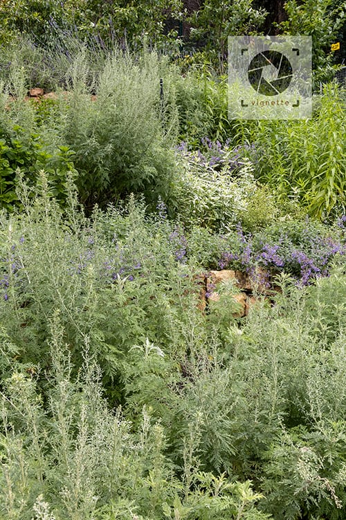 Image of Rhodes Drive