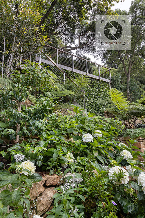 Image of Rhodes Drive