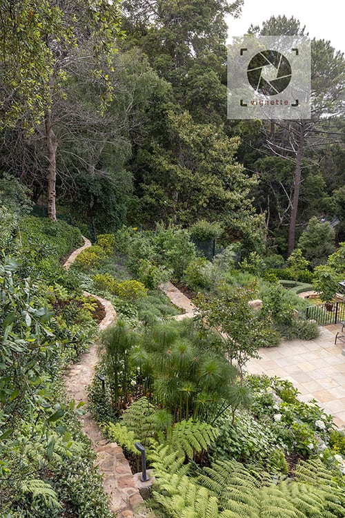 Image of Rhodes Drive