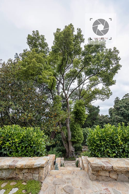 Image of Rhodes Drive