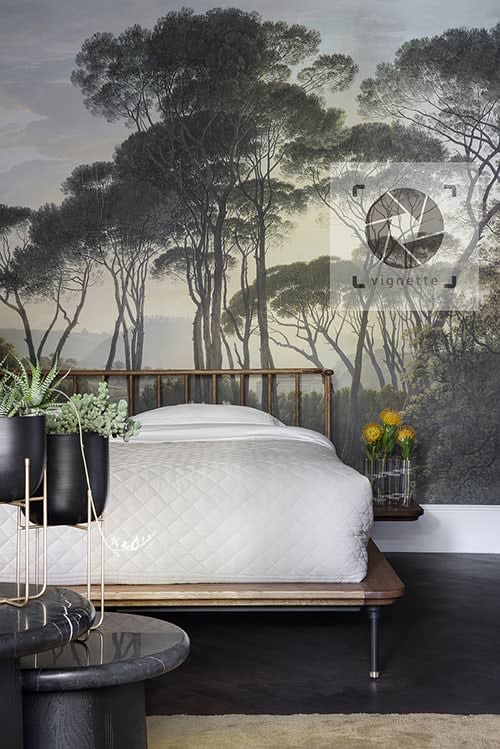 Image of Rupperti Yazdi