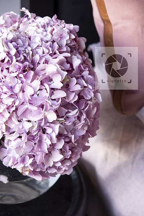 Image of Rupperti Yazdi