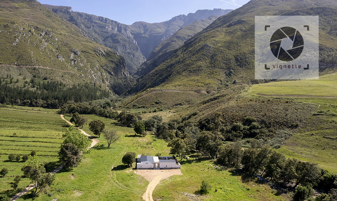 Image of The Hacienda