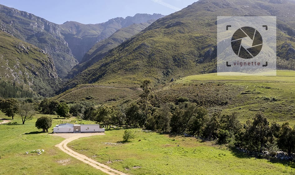 Image of The Hacienda