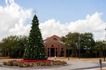 Goose Creek Sensory Tree Lighting
