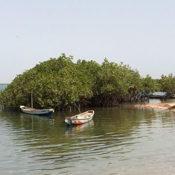 Excursion Siné Saloum / Falia