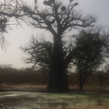 De Dakar au Sine Saloum