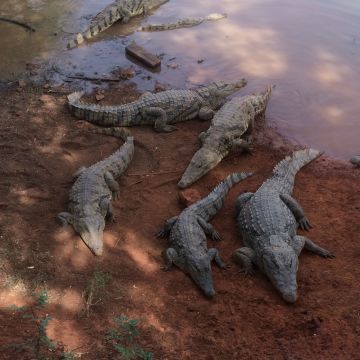 De Dakar au Sine Saloum