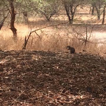 De Dakar au Sine Saloum