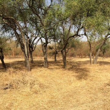 De Dakar au Sine Saloum