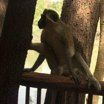 De Dakar au Sine Saloum