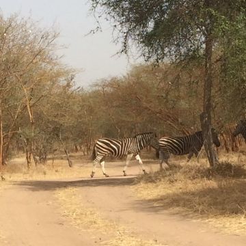 De Dakar au Sine Saloum