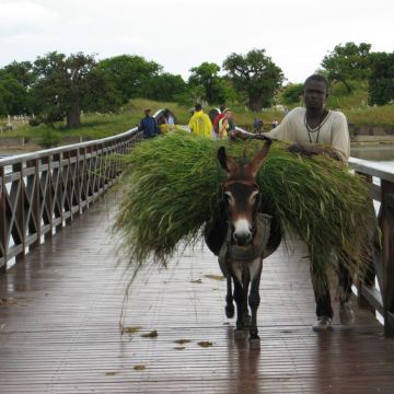 De Dakar au Sine Saloum