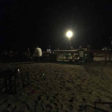 Beach Party PALMARIN