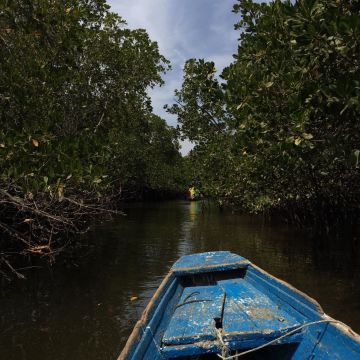 balade partagé - journée découverte du Delta du Siné Saloum